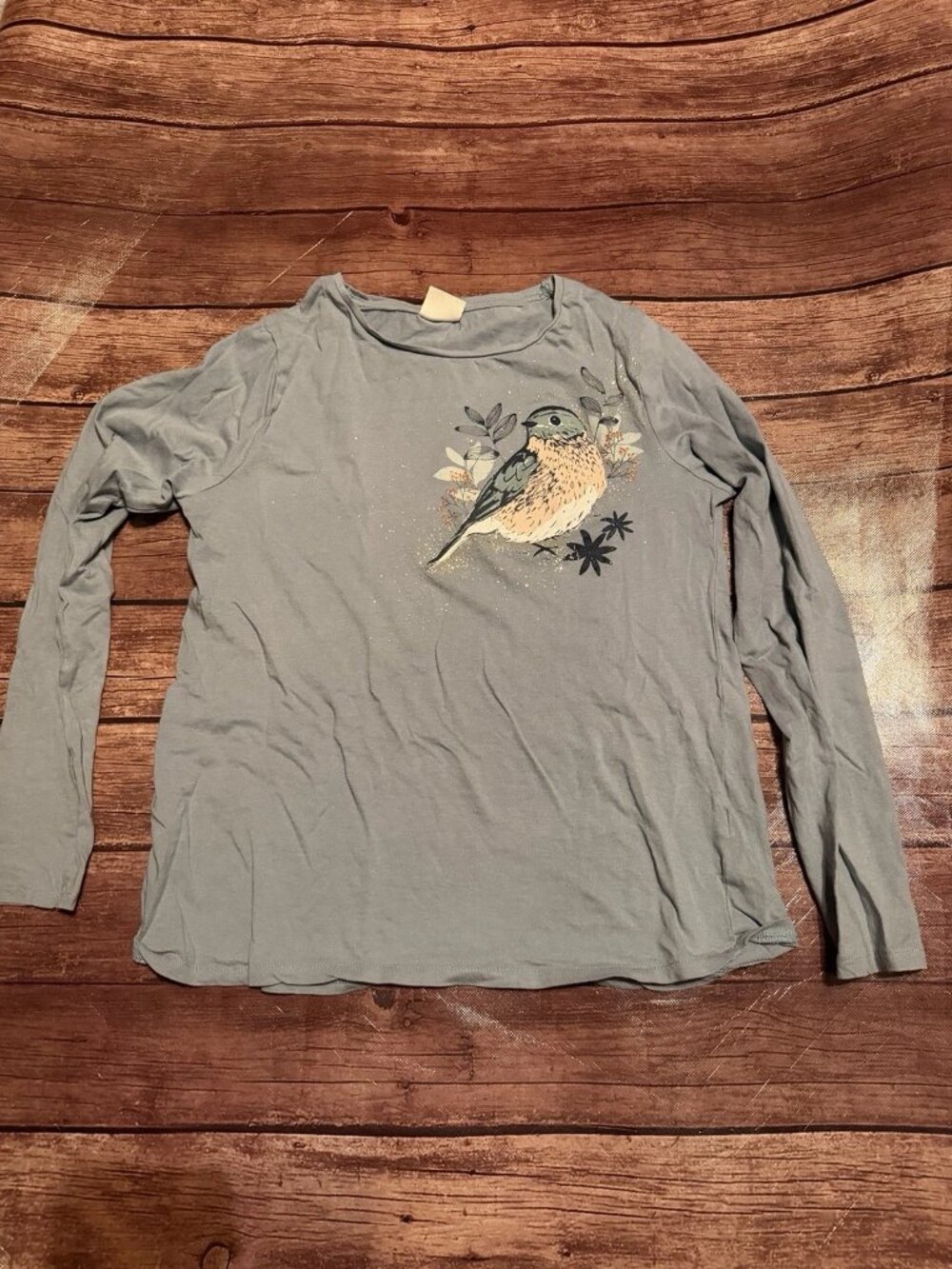Girl’s Zara Kids Bird Graphic Long Sleeve Shirt 11/12